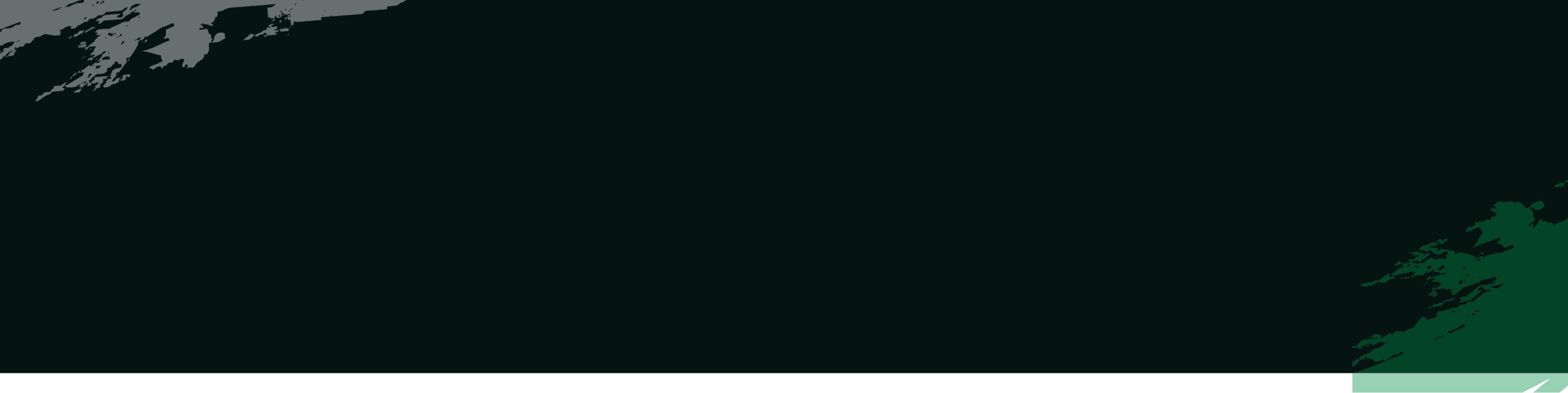 Footer Background