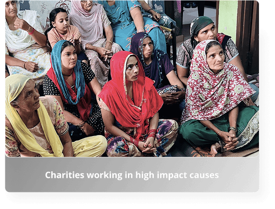 Charities working in high impact causes